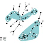 CEO-Firms